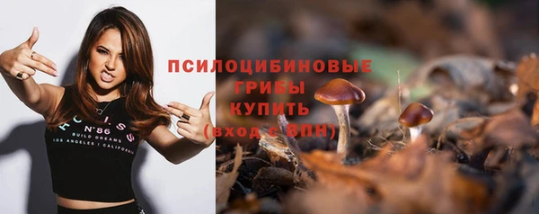 ГАЛЛЮЦИНОГЕННЫЕ ГРИБЫ Беломорск