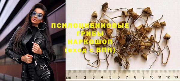 ГАЛЛЮЦИНОГЕННЫЕ ГРИБЫ Беломорск