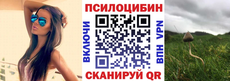 hydra вход  закладка  сайты даркнета телеграм  Псилоцибиновые грибы ЛСД  Горячий Ключ 