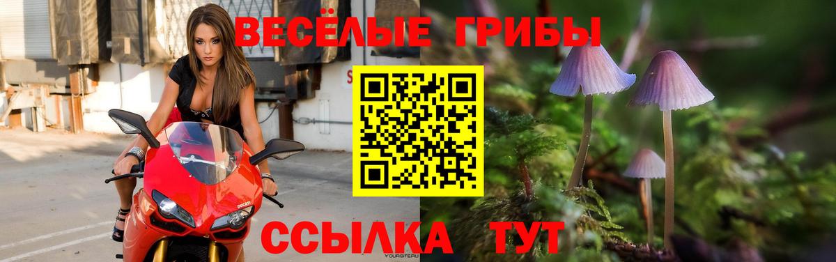 Галлюциногенные грибы Cubensis  Псилоцибиновые грибы Magic Shrooms  Вход с VPN  Горячий Ключ 